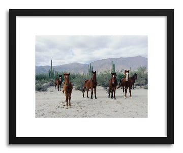 Fine art print Wild Mexico Horses by artist Kevin Russ