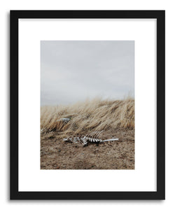 Fine art print Winded Skeleton by artist Kevin Russ