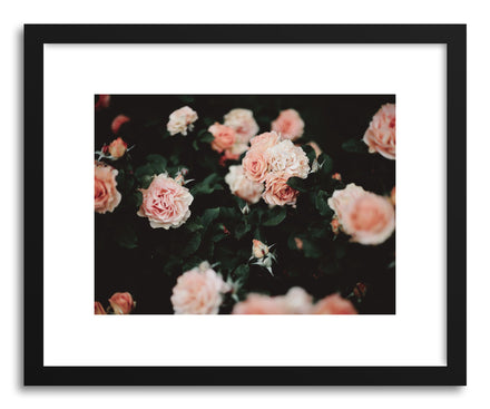 Fine art print Roses No.3 by artist Kristine Weilert