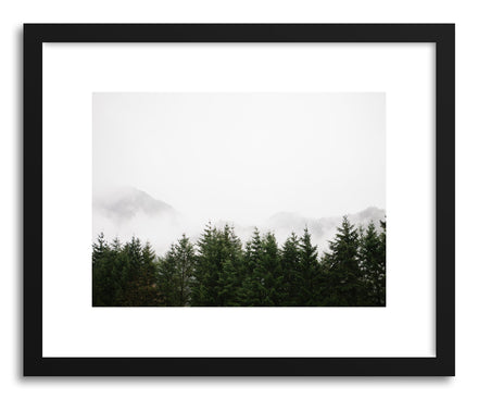 Fine art print Foggy Forest No.2 by artist Kristine Weilert