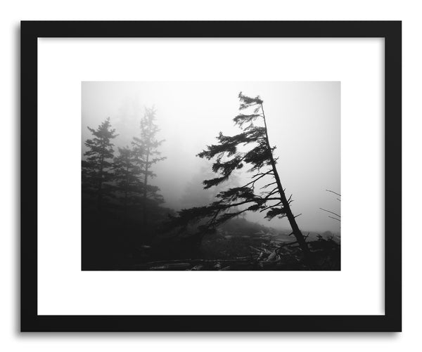 Fine art print Foggy Forest No.4 by artist Kristine Weilert