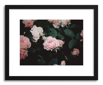 Fine art print Roses No.2 by artist Kristine Weilert