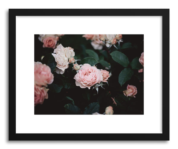 Fine art print Roses No.2 by artist Kristine Weilert