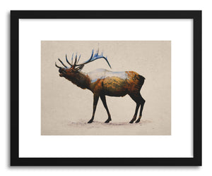 hide - Art print Rocky Mountain Elk by artist David Iwane in white frame