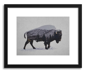 Fine art print The American Bison by artist David Iwane