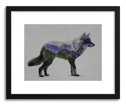 Fine art print The Rocky Mountain Gray Wolf Print by artist David Iwane