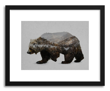 Fine art print The Kodiak Brown Bear Print by artist David Iwane
