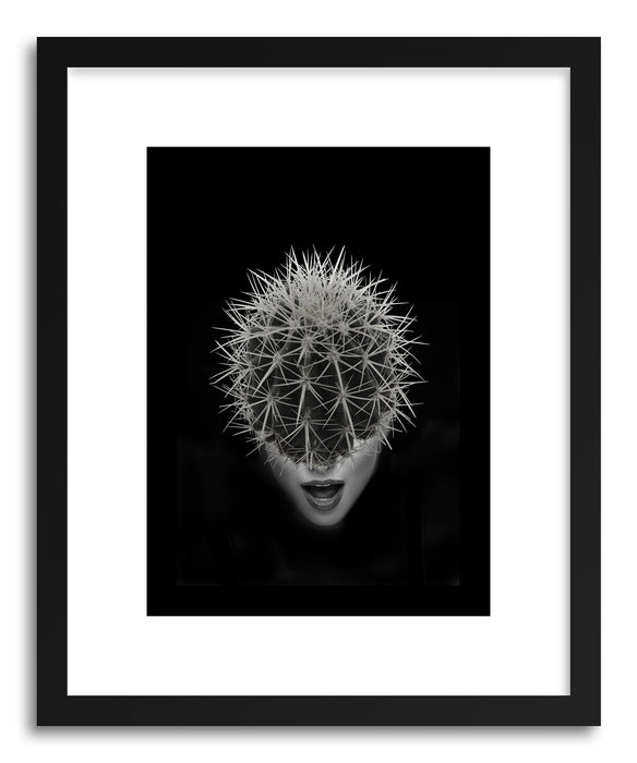 Fine art print Cactus by artist Tania Amrein