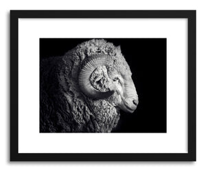 hide - Art print The King by artist By The Horns on fine art paper