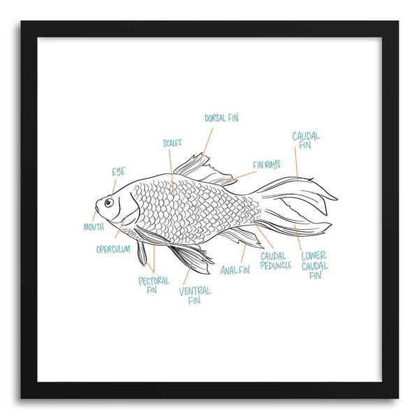 Fine art print Fish Anatomy by artist Peggy Dean